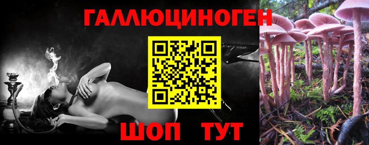 Галлюциногенные грибы мицелий  Псилоцибиновые грибы мицелий  Дагестанские Огни  Вход с VPN 